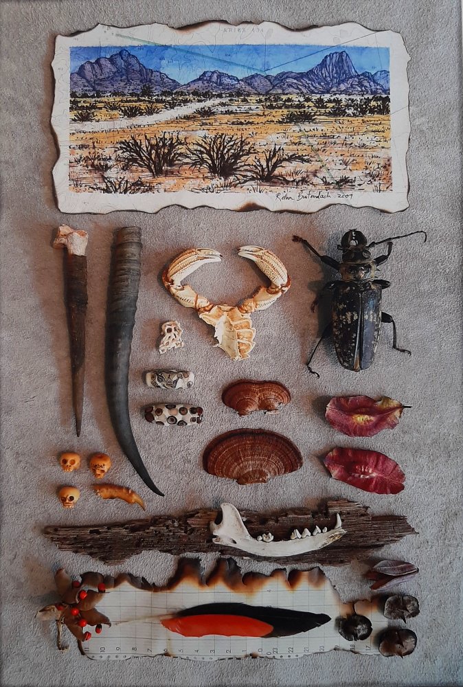 Retha Buitendach - Curiosity Cabinet 4